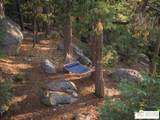 52352 Pine Ridge Rd - Photo 68