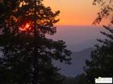 52352 Pine Ridge Rd - Photo 71