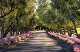 1620 Westerly Rd - Photo 4
