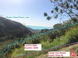 4218 Latigo Cyn - Photo 4