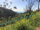 4218 Latigo Cyn - Photo 9