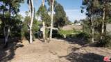 29215 Larkspur Ln - Photo 38