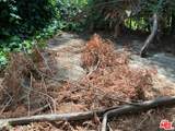 5623 Canyonside Rd - Photo 40