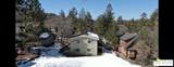 774 St Moritz Dr - Photo 11
