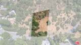 2250 Benedict Canyon Dr - Photo 2