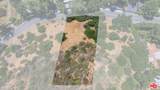 2250 Benedict Canyon Dr - Photo 20