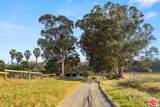4314 Ocean Ave - Photo 43