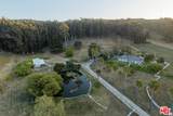 4314 Ocean Ave - Photo 49