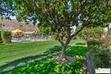 2029 Ramitas Way - Photo 35