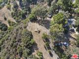 2088-3/4 Topanga Skyline Dr - Photo 20