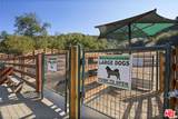 2088-3/4 Topanga Skyline Dr - Photo 38