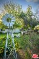 1516 Monarch Dr - Photo 44