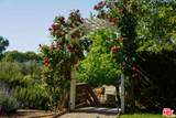 1516 Monarch Dr - Photo 48