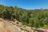 1045 Cold Canyon Rd - Photo 24