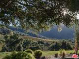 20300 Cachagua Rd - Photo 27