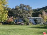 20300 Cachagua Rd - Photo 6