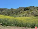 34229 Mulholland Hwy - Photo 18