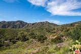 34229 Mulholland Hwy - Photo 19