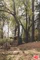958 Lucerne Ln - Photo 32