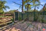 27555 Pacific Coast Hwy - Photo 45