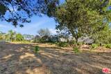 27555 Pacific Coast Hwy - Photo 8
