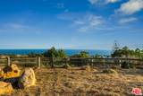29829 Harvester Rd - Photo 11