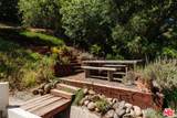 1149 Old Topanga Canyon Rd Rd - Photo 19
