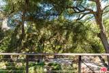 1149 Old Topanga Canyon Rd Rd - Photo 3