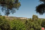 1149 Old Topanga Canyon Rd Rd - Photo 31