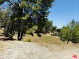 22030 Saddlepeak - Photo 4