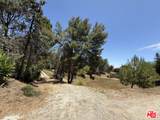 22030 Saddlepeak - Photo 5