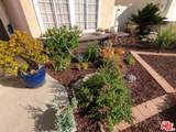 40523 Corte De Opalo - Photo 5