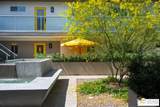 588 San Lorenzo Rd - Photo 48