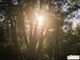52352 Pine Ridge Rd - Photo 67