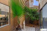 34 Camino Arroyo Pl - Photo 27