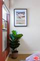 625 Flores St - Photo 14