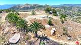 0 El Calamar - Photo 4