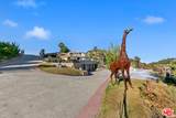 23010 Saddle Peak Rd - Photo 5