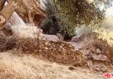 0 Red Rock Rd - Photo 13