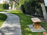 325 Via Escuela - Photo 40