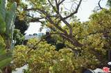 1328 Havenhurst Dr - Photo 40