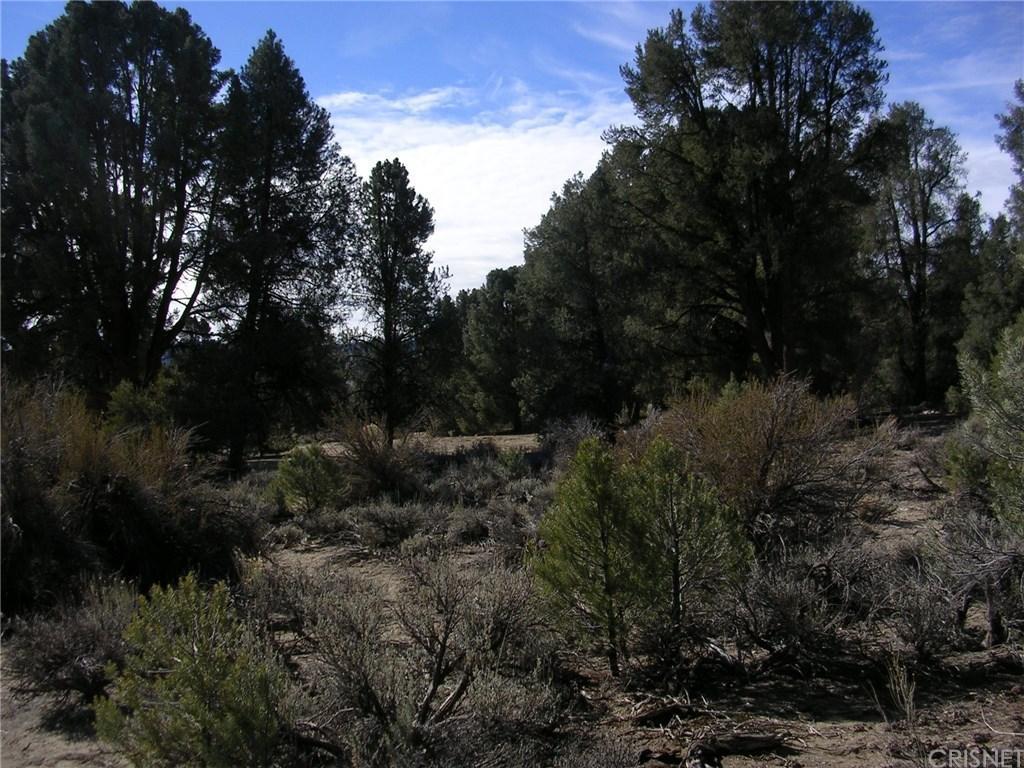 0 Tecuya Avenue - Photo 1