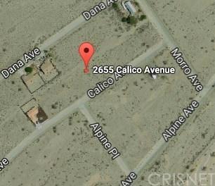 2655 Calico Avenue - Photo 1