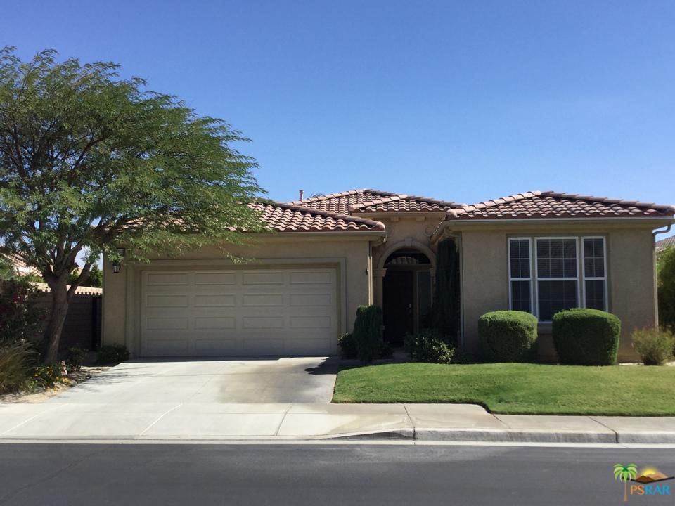 3534 Date Palm Trails - Photo 1
