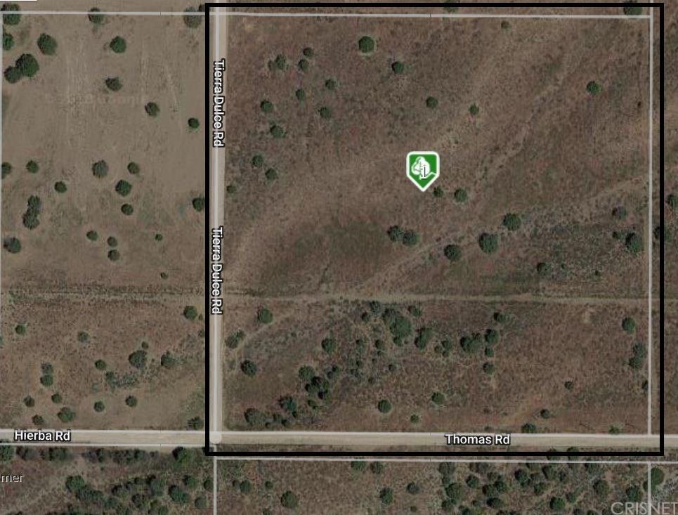 0 Thomas Rd/Terra Dulce Road - Photo 1