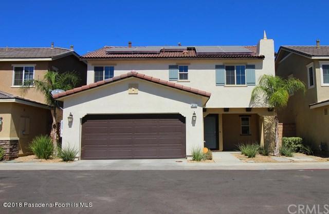 34193 Telma Drive - Photo 1