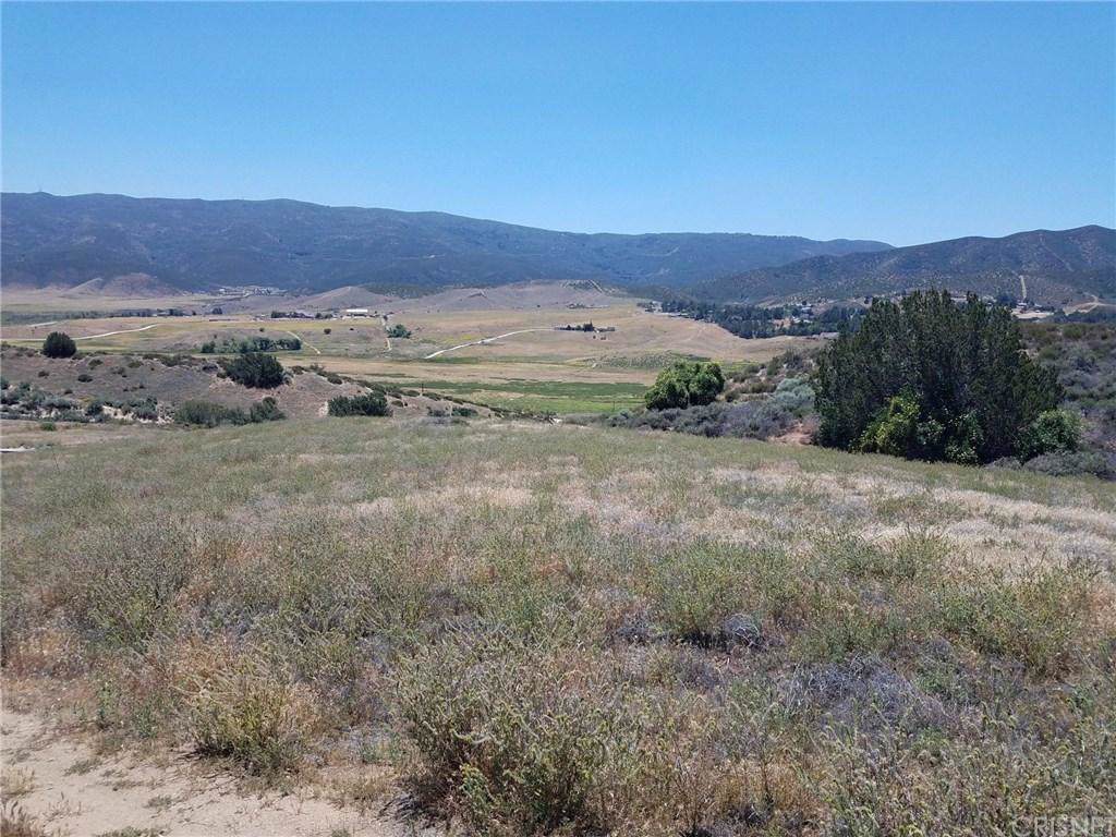 0 Vac/Elizabeth Lake Rd/Vic80ths - Photo 1
