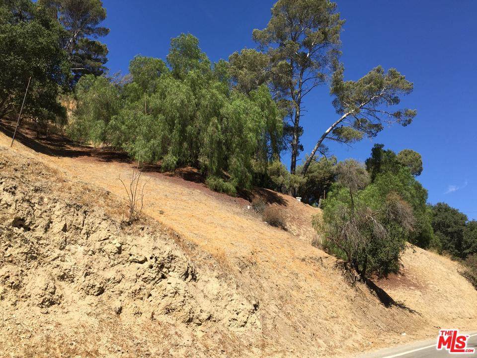 0 Kagel Canyon Rd - Photo 1