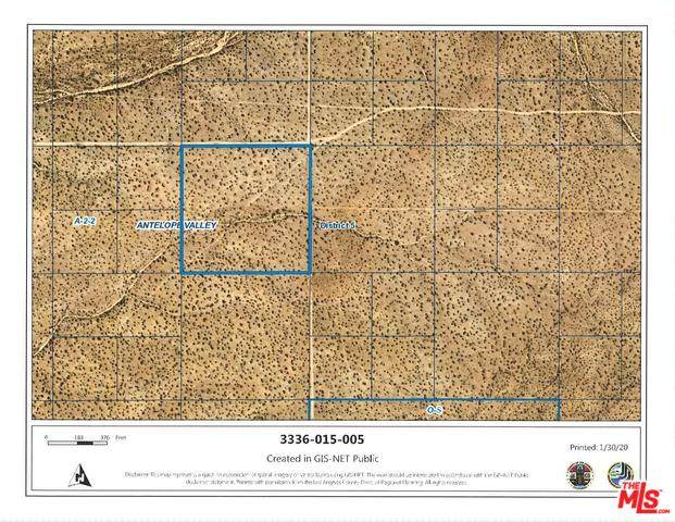 0 Vac/Cor 250E Trail /Ave Trl - Photo 1