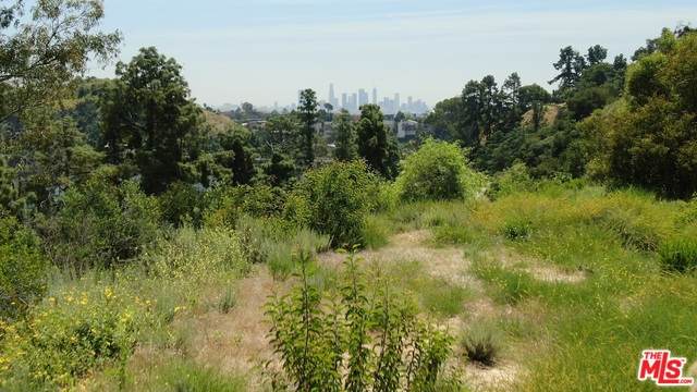 2864 Cahuenga Blvd - Photo 1